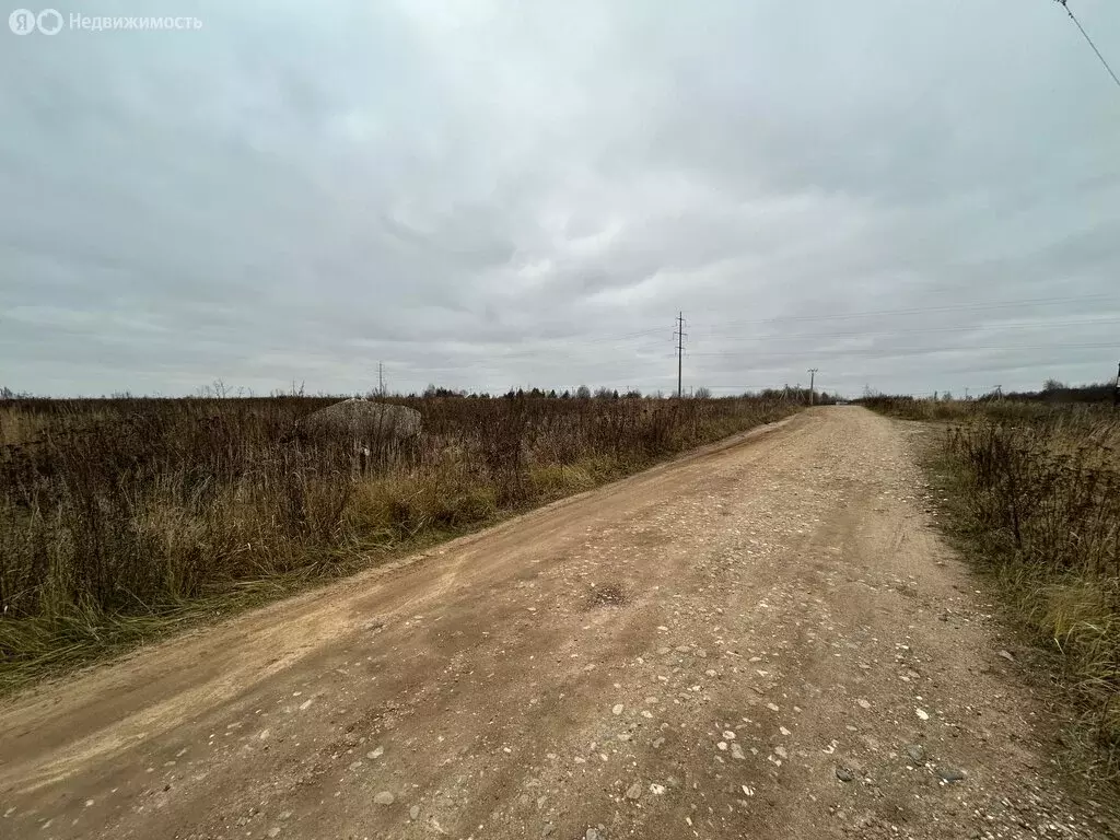 Участок в Александровский район, муниципальное образование ... - Фото 0