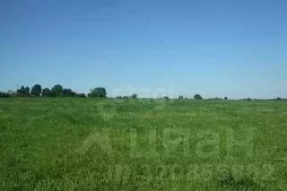 Участок в Липецкая область, Липецкий муниципальный округ, с. Сенцово  ... - Фото 1