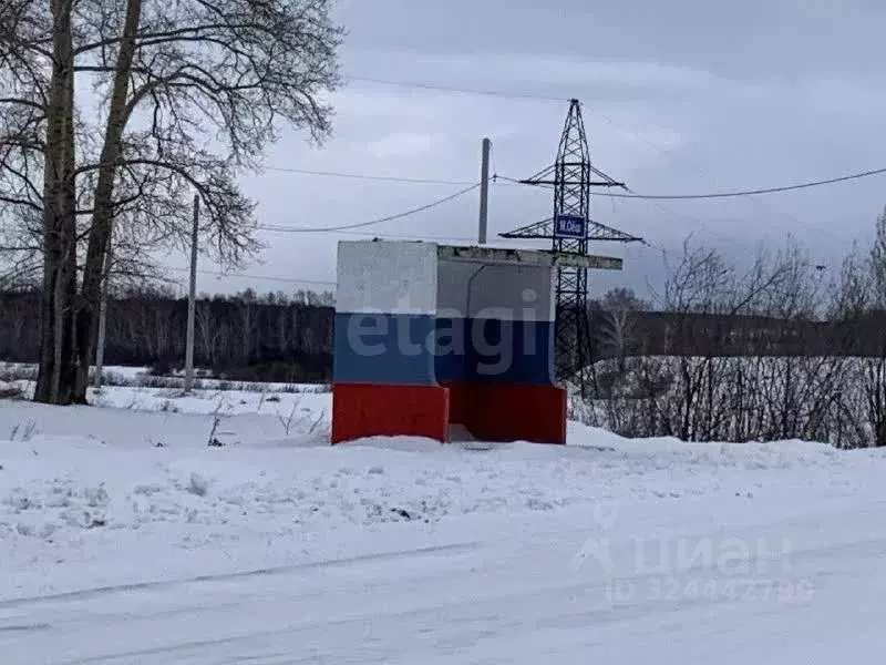 Участок в Новосибирская область, Колыванский район, д. Малый Оеш  (8.0 ... - Фото 1