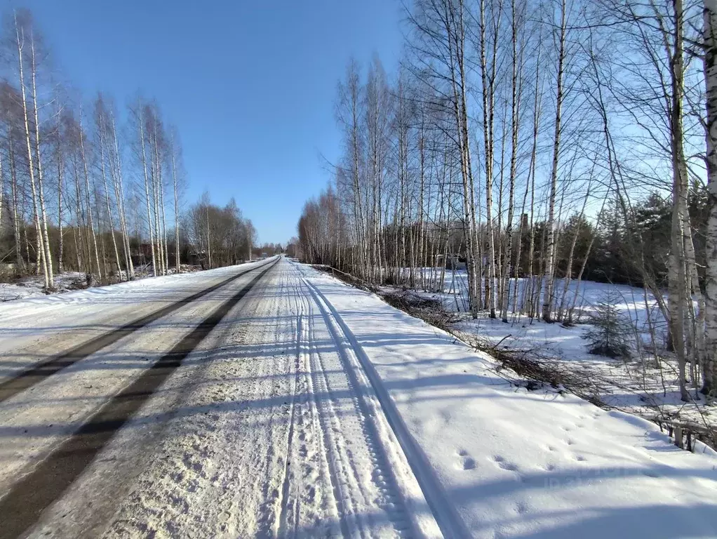 Участок в Вологодская область, д. Коробово  (50.0 сот.) - Фото 0