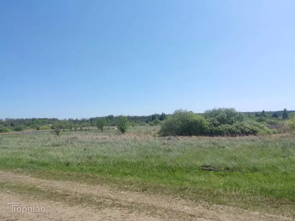 Участок в Тамбовская область, Тамбовский муниципальный округ, с. ... - Фото 2