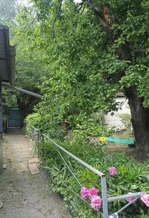 Дом в Саратовская область, Саратов ул. Большая Садовая, 126 (58 м) - Фото 0