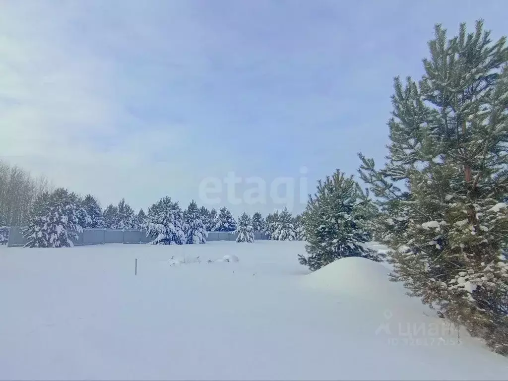 Участок в Тюменская область, Тюмень Ирбитский Тракт 3-й км от ... - Фото 1