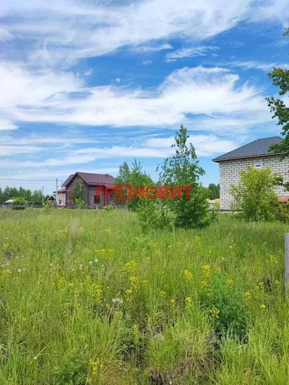 Участок в Новосибирская область, Новосибирский район, с. Верх-Тула ул. ... - Фото 1