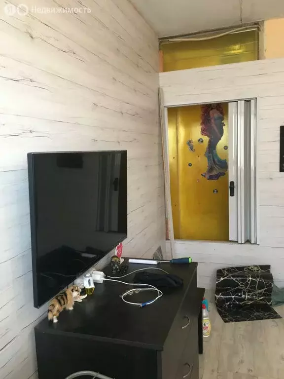 1-комнатная квартира: Екатеринбург, Селькоровская улица, 109 (18.3 м) - Фото 0