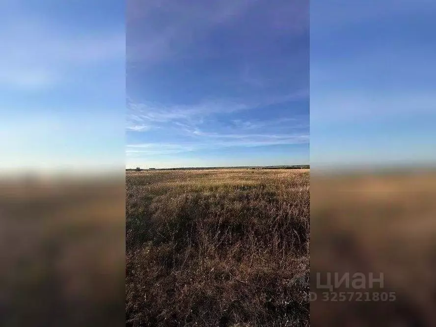 Участок в Московская область, Серебряные Пруды пгт ул. Советская ... - Фото 2