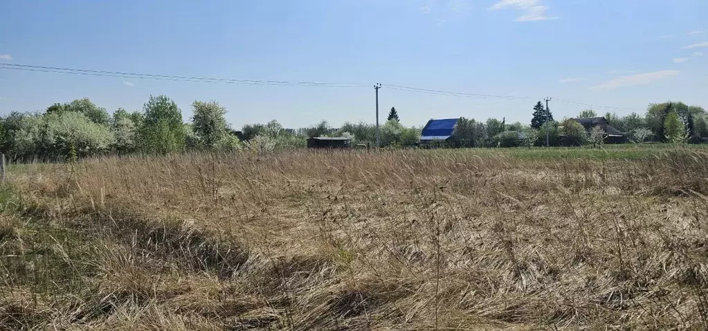 Участок в Московская область, Луховицы муниципальный округ, д. ... - Фото 0