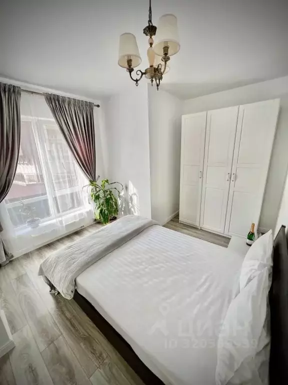 1-к кв. Краснодарский край, Сочи ул. Удачи, 14 (45.0 м) - Фото 1