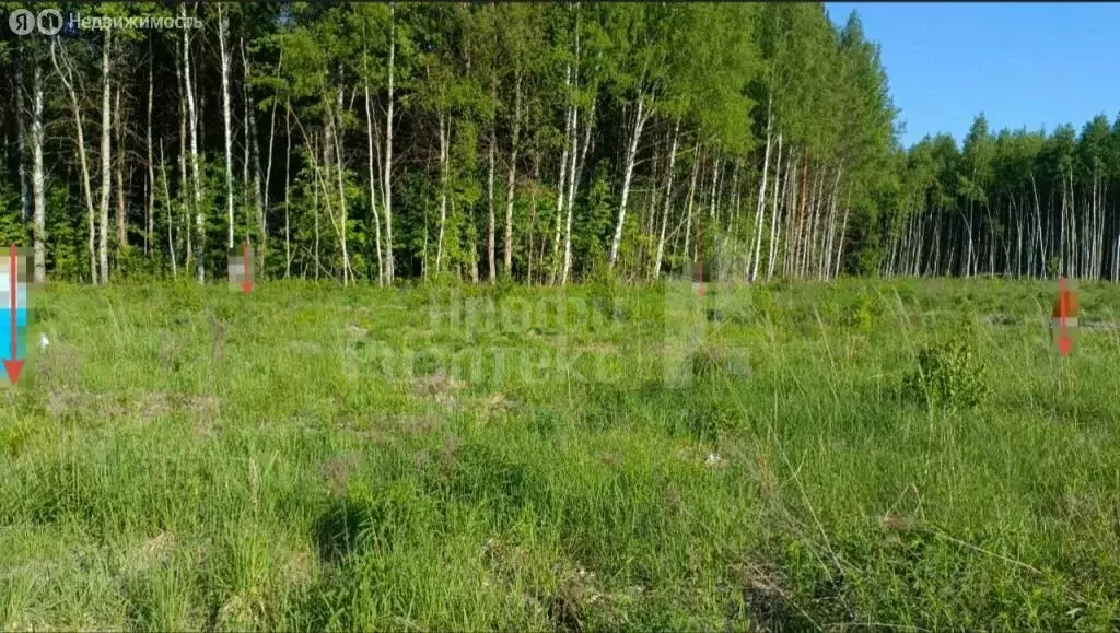 Участок в Нижегородская область, Городецкий муниципальный округ, ... - Фото 1