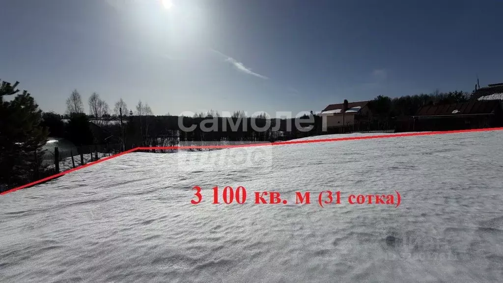 Участок в Московская область, Клин городской округ, д. Шарино 42 (31.0 ... - Фото 1