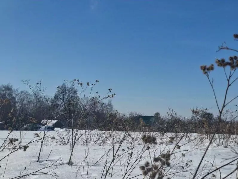 Участок в Московская область, Кашира городской округ, пос. Новоселки  ... - Фото 1