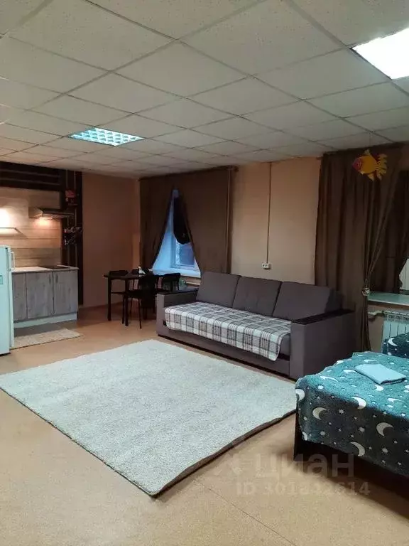 Студия Карелия, Питкяранта ул. Горького, 9 (41.0 м) - Фото 1