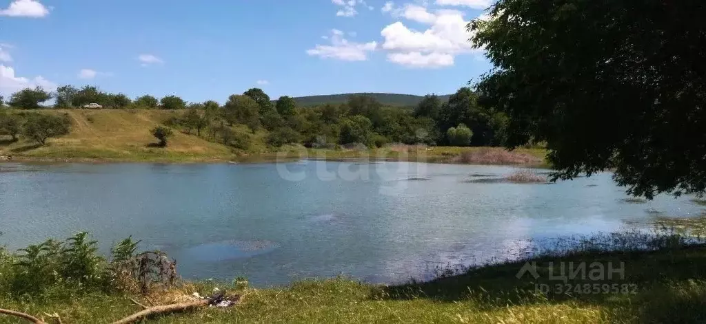 Участок в Крым, Кировский район, Синицынское с/пос, с. Васильковое ул. ... - Фото 1