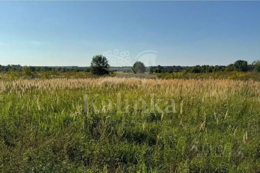 Участок в Московская область, Красногорск городской округ, д. ... - Фото 1