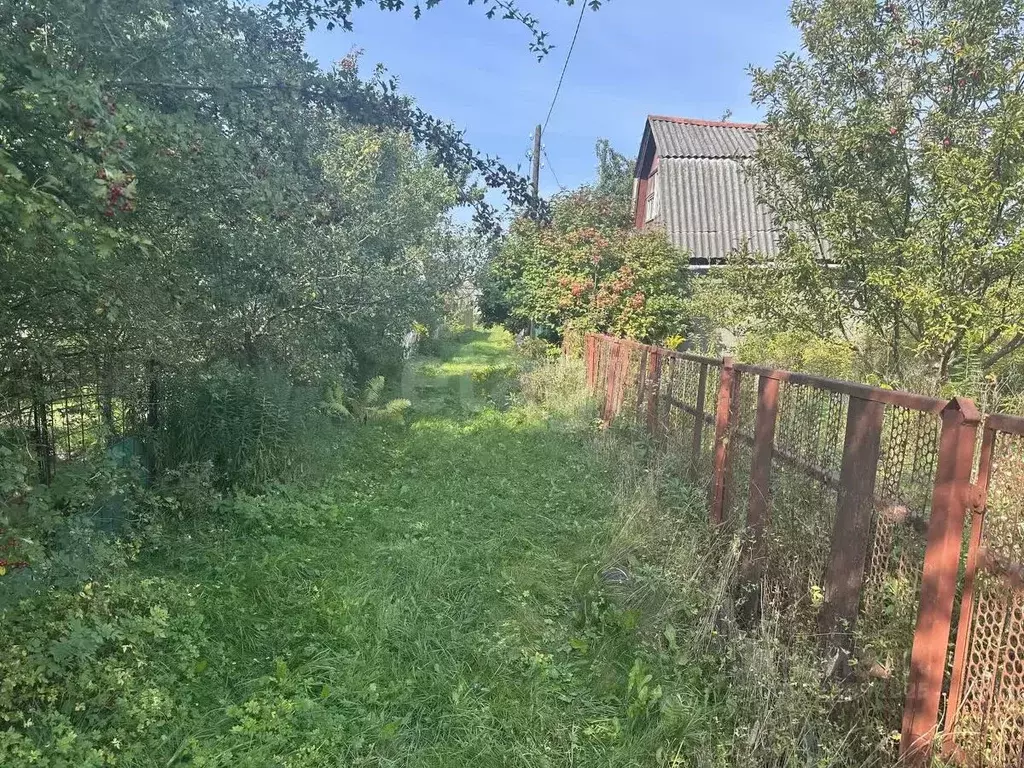 Дом в Брянская область, Брянск Болва садовое общество,  (26 м) - Фото 2