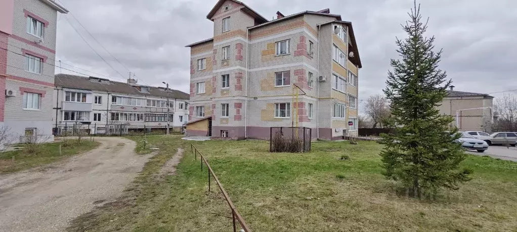 Помещение свободного назначения в Владимирская область, Суздальский ... - Фото 1