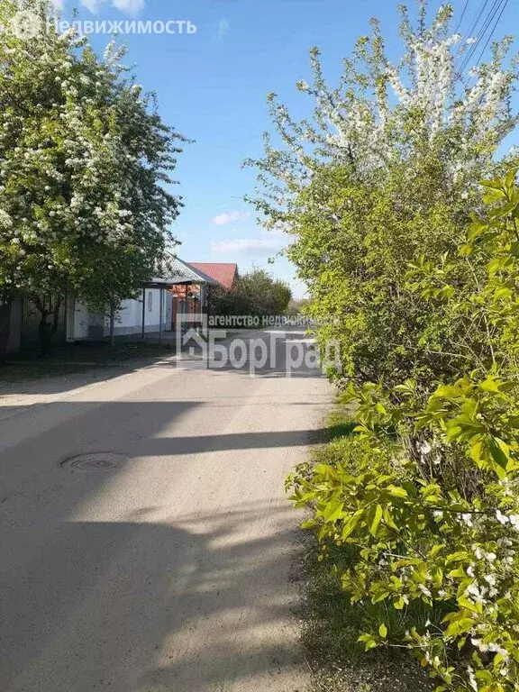 туркменский переулок воронеж. переулок туркменский 23 воронеж. туркменский переулок воронеж. батуринская 165. переулок туркменский 23 воронеж.