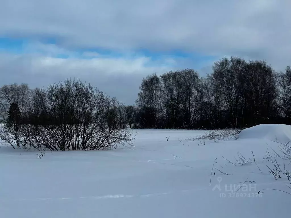 Участок в Московская область, Ступино городской округ, д. Красный ... - Фото 2