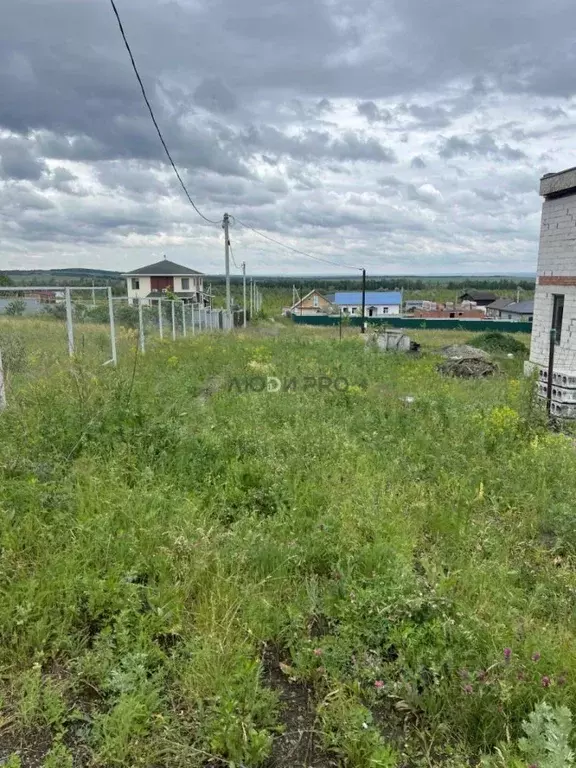 Участок в Саратовская область, с. Усть-Курдюм ул. Полевая, 4 (11.0 ... - Фото 1