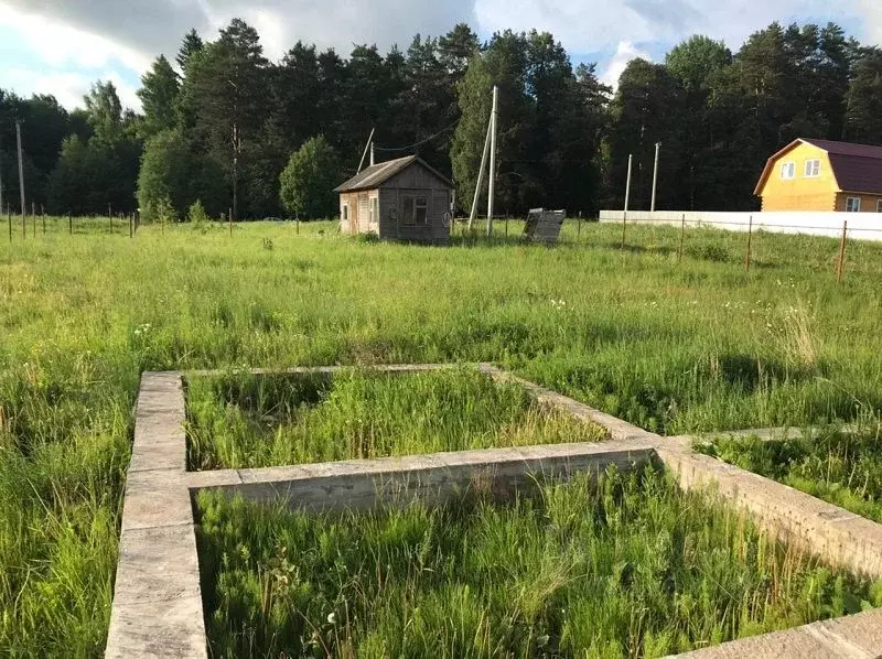 Участок в Московская область, Клин городской округ, д. Ногово 67 (10.0 ... - Фото 1