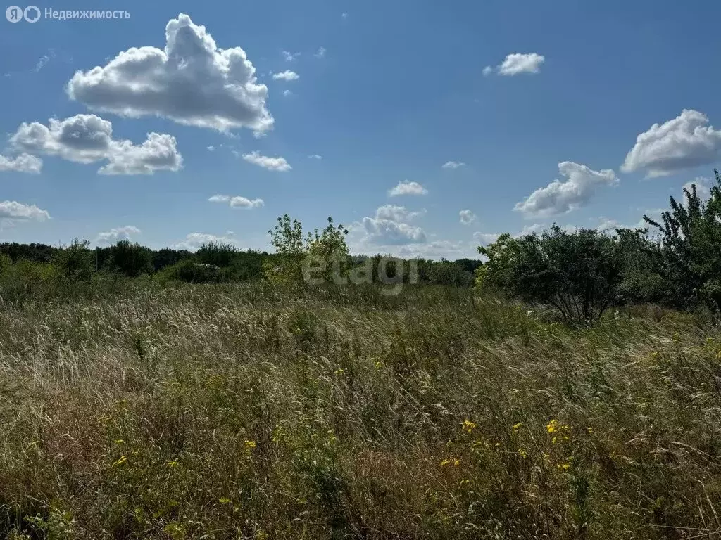 Участок в село Стрелецкое, микрорайон Стрелецкое-72, Коллективный ... - Фото 1