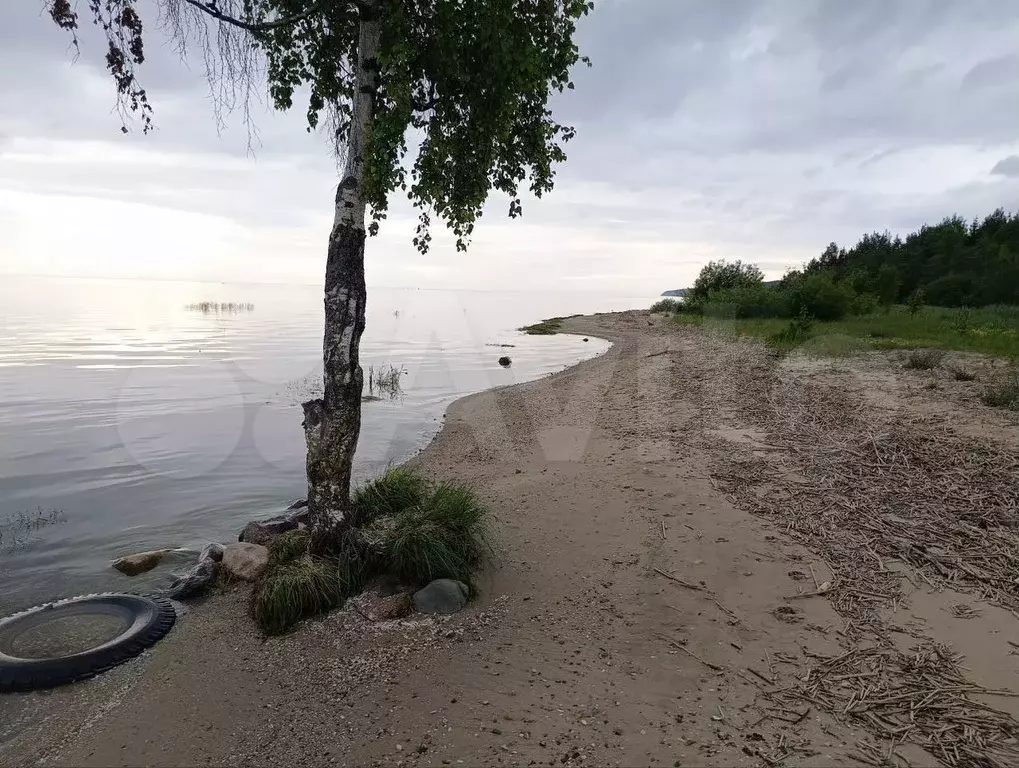 Участок 9 сот. (СНТ, ДНП) - Фото 0