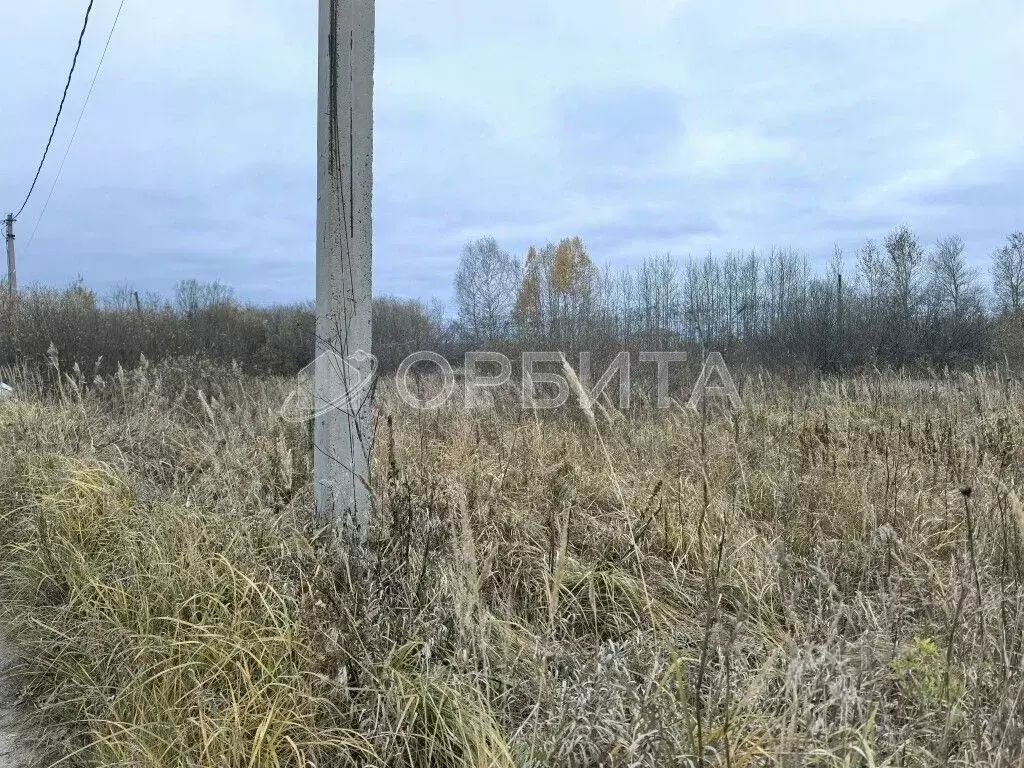 Участок в Тюменская область, Тюмень Царево садовое товарищество, ул. ... - Фото 2