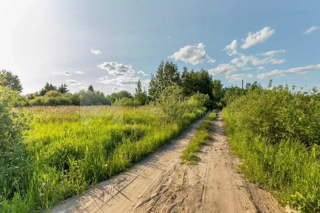 Участок в Тюменская область, Тюменский муниципальный округ, ... - Фото 2