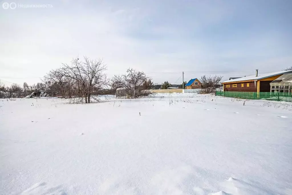 Участок в Бердск, СНТ Лесное, 11-я улица (5.05 м) - Фото 2