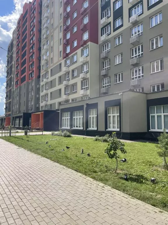 1-к кв. Московская область, Балашиха ул. Яганова, 5 (31.2 м) - Фото 1