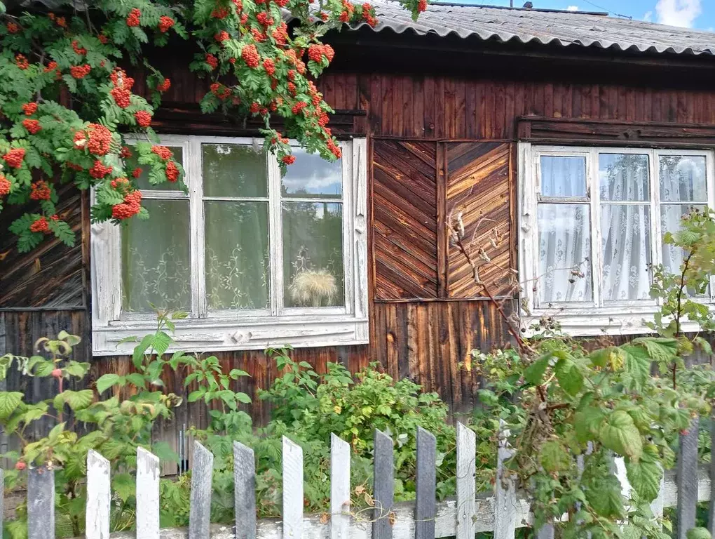 Дом в Свердловская область, с. Байкалово ул. Набережная (48 м) - Фото 2
