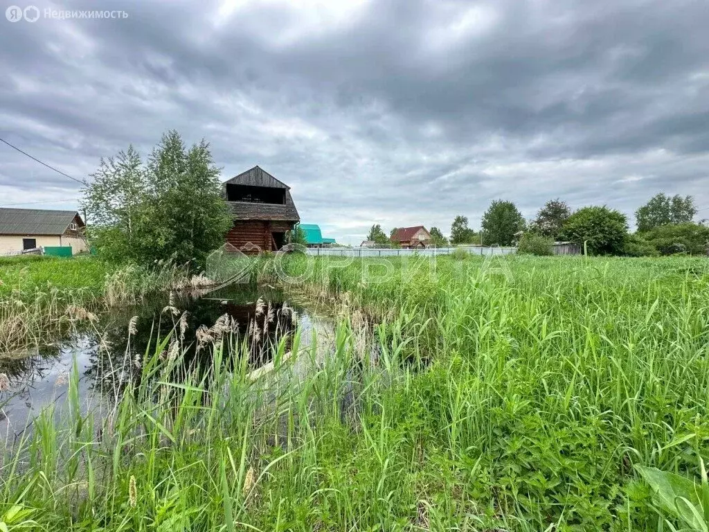 Участок в Тюмень, садовое товарищество Липовый Остров (9.6 м) - Фото 1