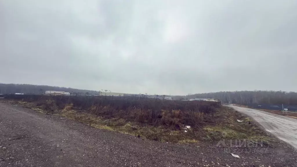 Участок, 6.3 сот., поселения (ижс) - Фото 1