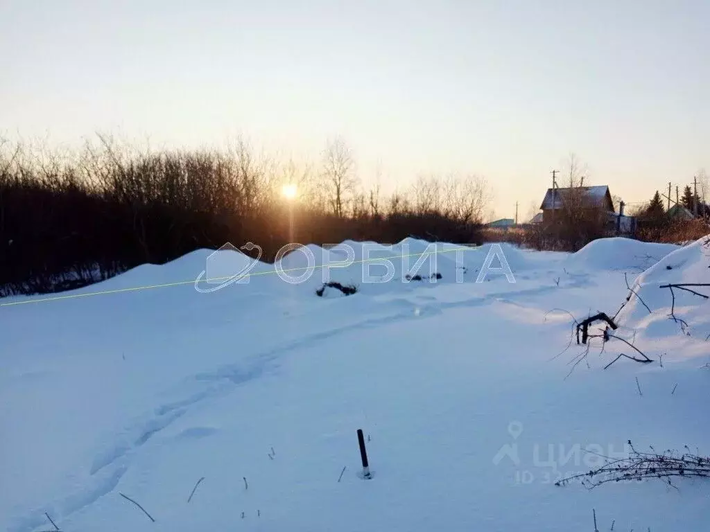 Участок в Тюменская область, Тюменский муниципальный округ, ... - Фото 2