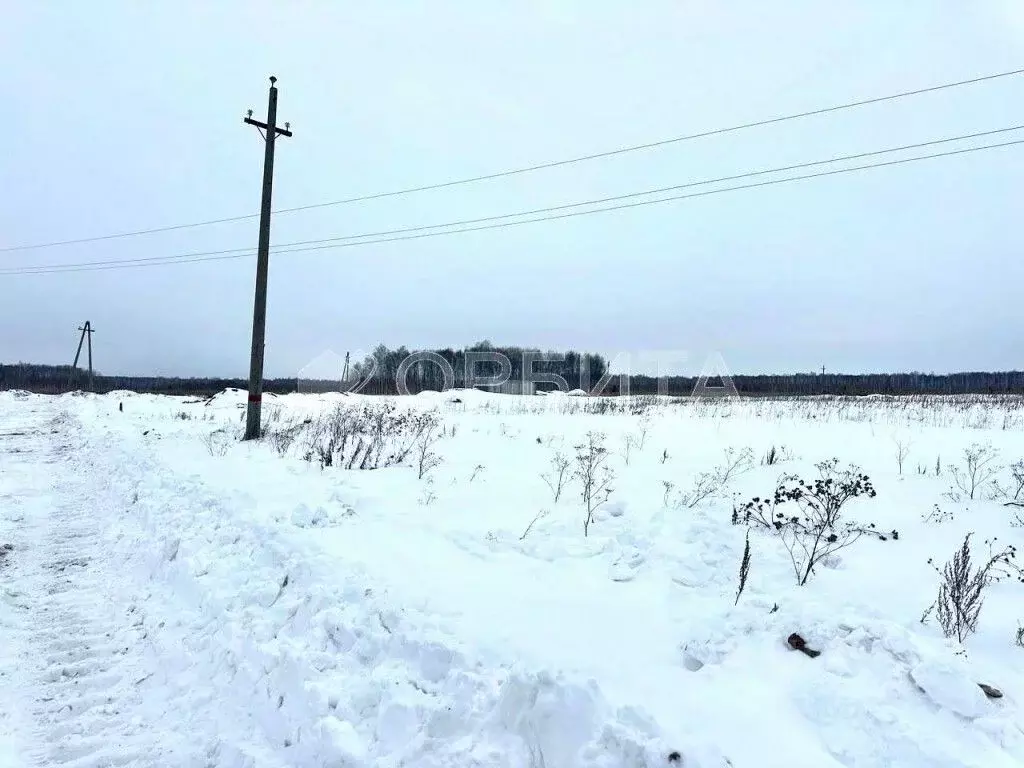 Участок в Тюменская область, Тюменский район, с. Горьковка Сибирская ... - Фото 1