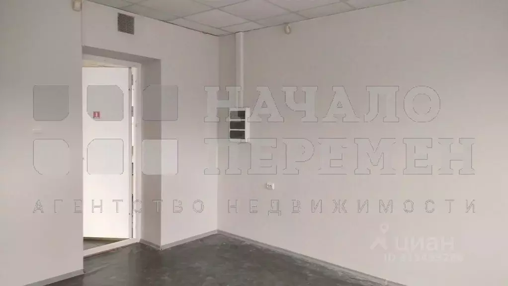 Офис в Новосибирская область, Новосибирск Академгородок мкр, ул. ... - Фото 1