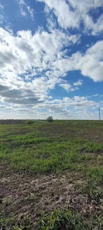 Участок в Марий Эл, Йошкар-Ола городской округ, д. Акшубино  (10.0 ... - Фото 1