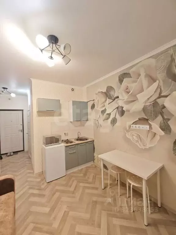 Студия Татарстан, Казань Тэцевская ул., 4А (18.7 м) - Фото 1