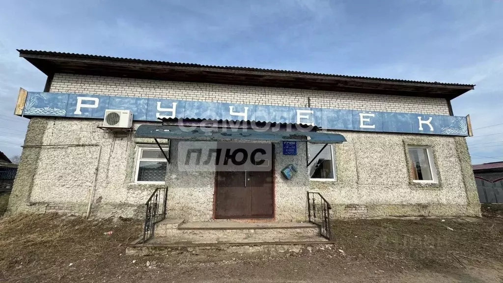 Помещение свободного назначения в Брянская область, Навля рп ул. ... - Фото 1