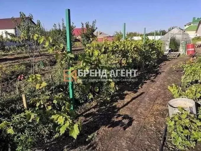 Дом в Белгородская область, Белгородский район, с. Стрелецкое ул. ... - Фото 1