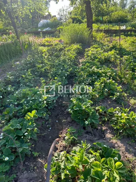 Участок 7,1 сот. (СНТ, ДНП) - Фото 1