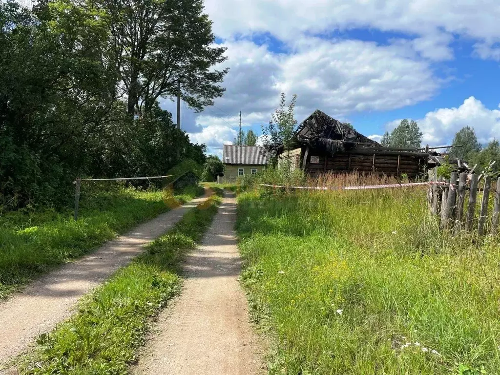 Участок в Псковская область, Порховский муниципальный округ, д. ... - Фото 0