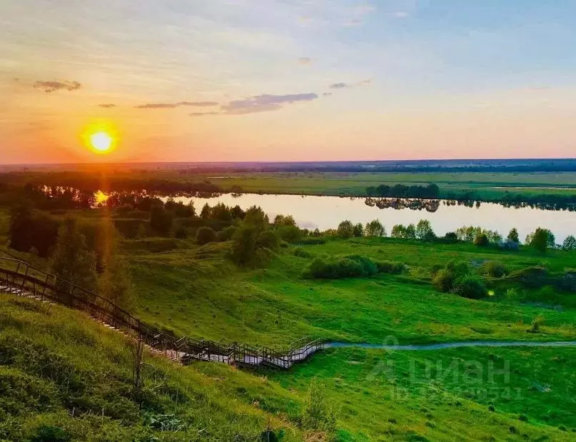 Участок в Волгоградская область, Фроловский район, Терновское с/пос, ... - Фото 0