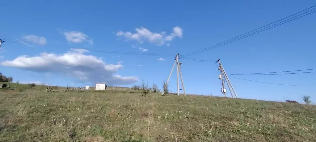 Участок в Алтай, Майминский район, пос. Алферово ул. И.А. Шаркова, 35 ... - Фото 0