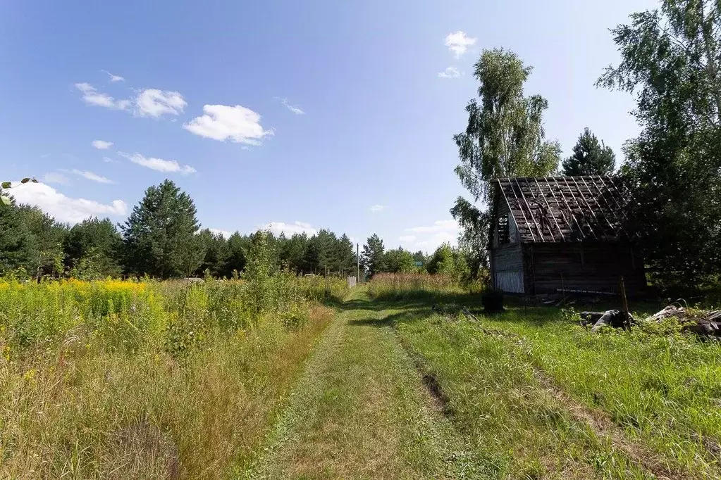 Участок в Владимирская область, Владимир сад Заречье, 127 (10.0 сот.) - Фото 2