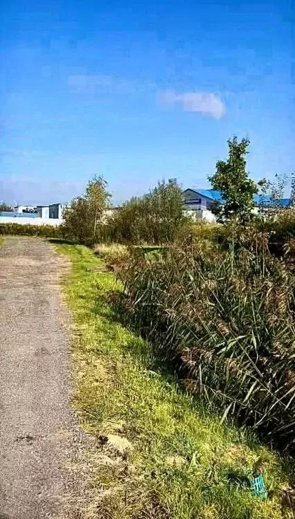 Участок в Калининградская область, Зеленоградский муниципальный округ, ... - Фото 2