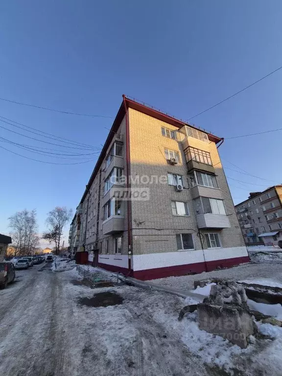 1-к кв. Еврейская автономная область, Смидовичский район, пос. ... - Фото 2