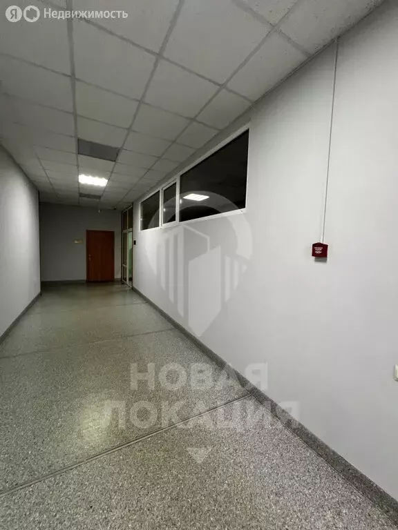 Офис (38 м) - Фото 1