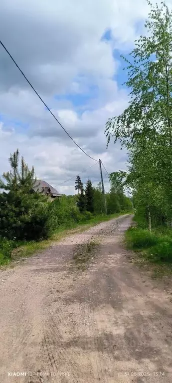 Участок в Ленинградская область, Выборгский район, Полянское с/пос, ... - Фото 1