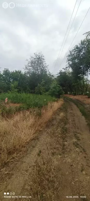 Участок в Большой Лог, Зелёная улица (9.8 м) - Фото 1